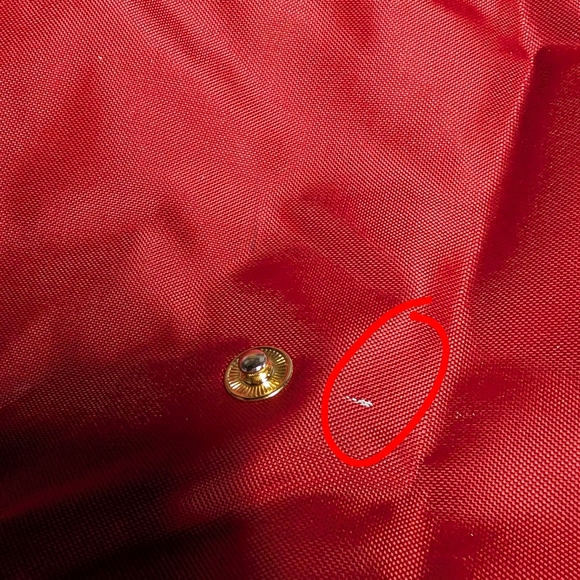 Longchamp Red and Brown Women's Tote Bag - Picture 6 of 9